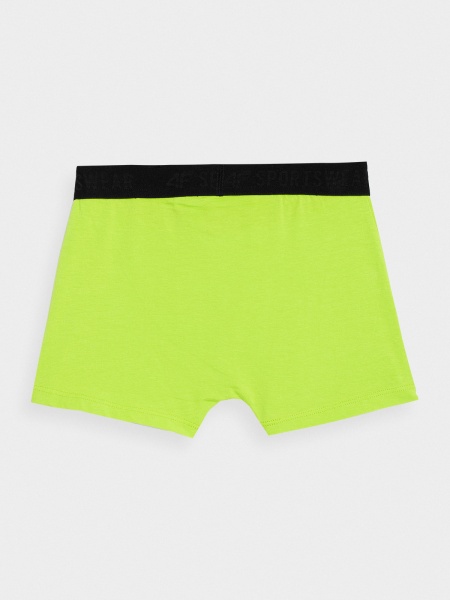 Набор трусов для мальчиковдетские 4F р.140 разноцветный 4FJSS23UBXSM023-90S 