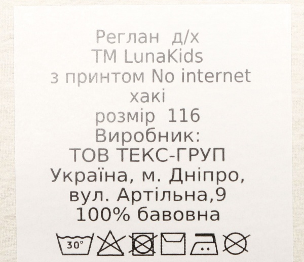Реглан для мальчика Luna Kids No internet р.128 хаки 