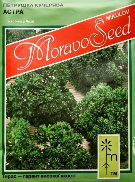 Насіння MoravoSeeds петрушка кучерява Астра 20 г