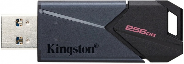 Флешпам'ять USB Kingston DataTraveler Exodia Onyx 256 ГБ USB 3.2 black (DTXON/256GB) 