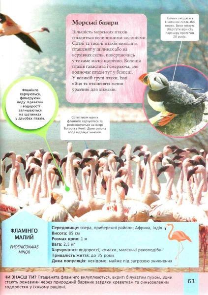 Книга Майкл Лич «Дитяча енциклопедія тварин» 978-966-942-575-1