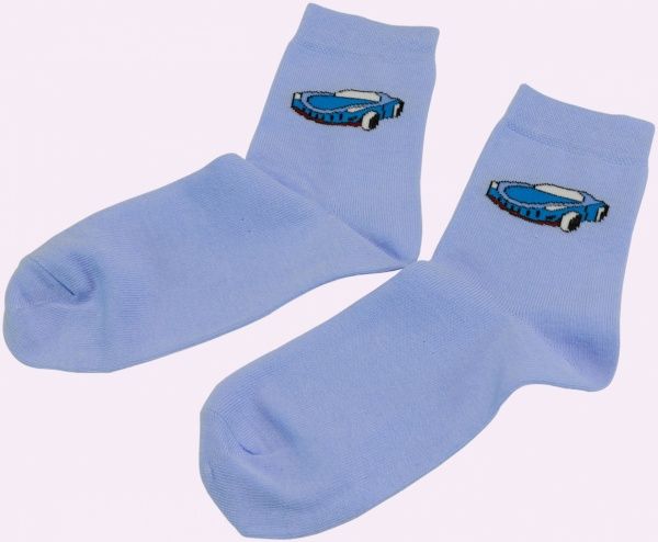 Шкарпетки дитячі Брестские 3081 р.18–20 різнокольоровий 