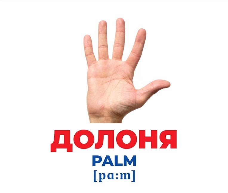 Набор учебный «Геній з пелюшок. Будова тіла» 482-307-615-167-6