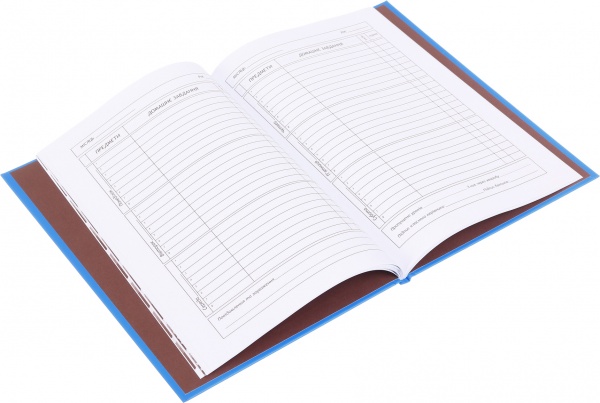 Дневник школьный ROAD В5 40 листов твердый переплет KIDS Line ZiBi