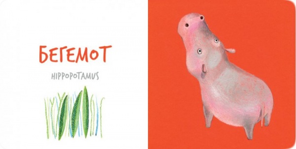 Книга Екатерина Таберко «Африканські тварини» 978-617-7395-31-6