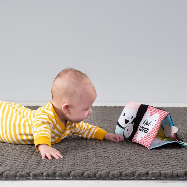 Игрушка Taf Toys Мои эмоции 12545