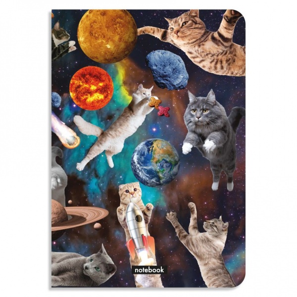 Блокнот в клетку А5 Коты в открытом космосе 144 ст. Orner