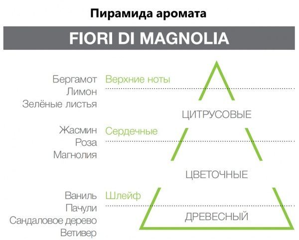 Аромадифузор для дому Hypno Casa Fiori di Magnolia 100 мл 