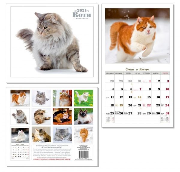 Календар перекидний «Чарівні улюбленці (Коти) 2021» 4820144130021