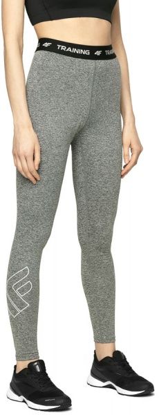 Лосини 4F NOSH4-SPDF001-25M XL сірий