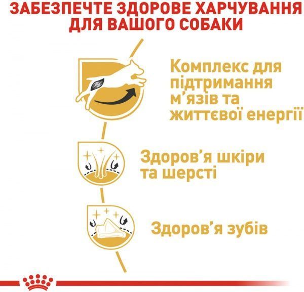 Корм Royal Canin для собак JACK RUSSEL ADULT 1,5 кг