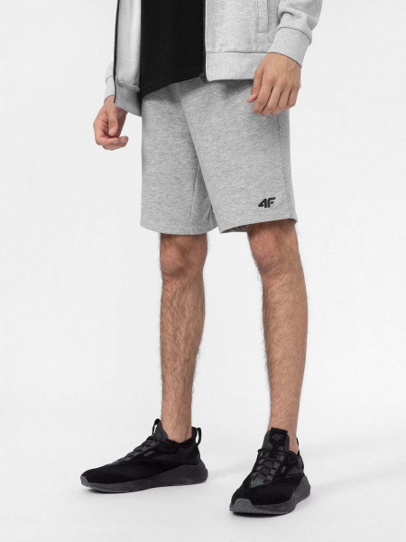 Шорти 4F 4FMM00TSHOM025-27M р. 2XL сірий