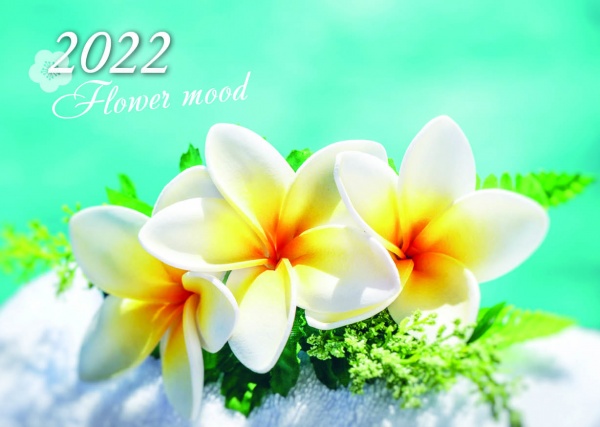 Календарь Діана Плюс Кишеньковий (32 види) 2022