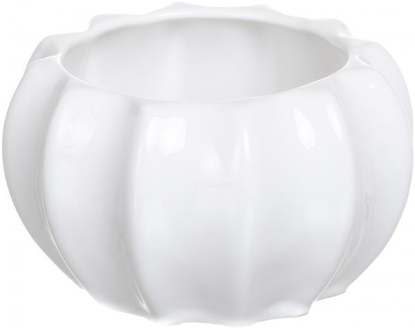 Сундучок Кактус WW 2704-15 белый Eterna