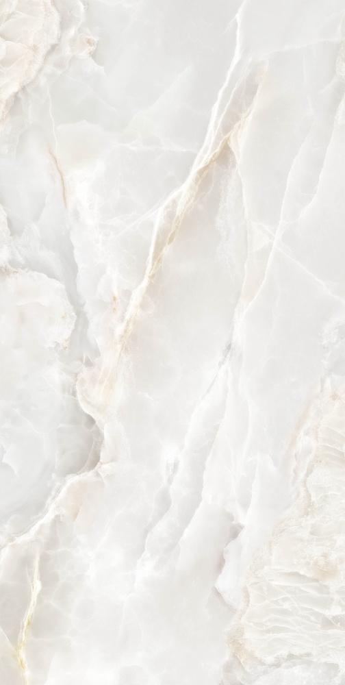 Плитка Allore Group Lunaria Silver F P R Full Lappato 60x120 см