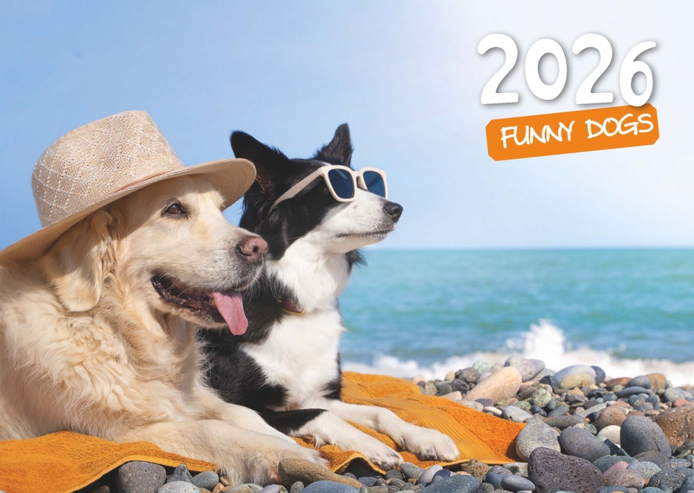 Календарь Діана Плюс Кишеньковий 2026