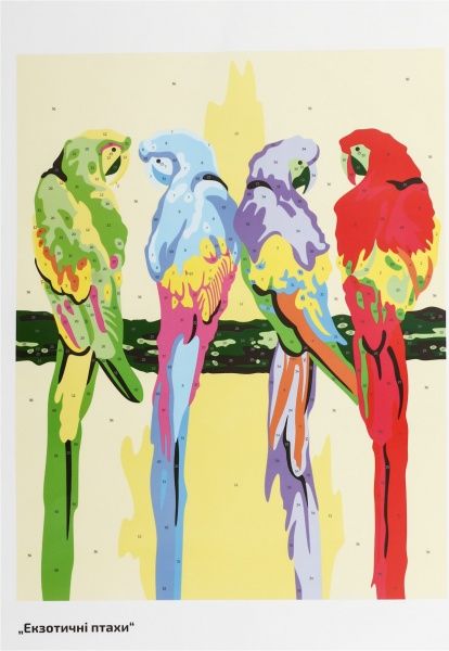 Картина по номерам Экзотические птицы Rosa Talent 