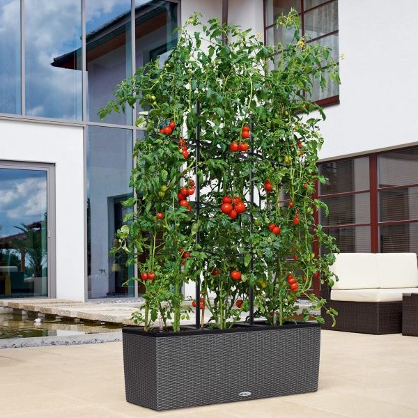 Аксесуар Lechuza Решітка для Trio Cottage 30 прямокутний (15011) графіт 