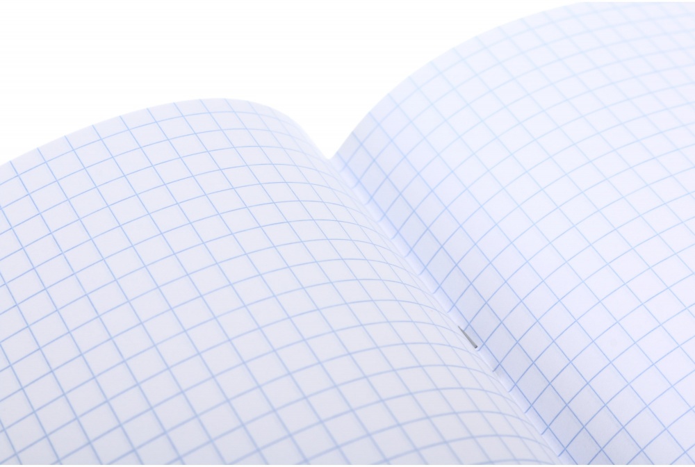 Тетрадь 18 листов в клеточку (2252547038017) Nota Bene