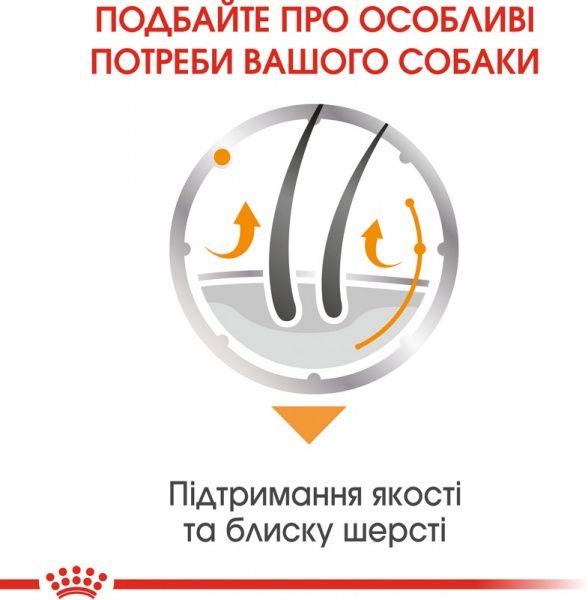 Консерва Royal Canin для собак COAT BEAUTY LOAF (Ол Сайзес Коат Кер), пауч, 85 г