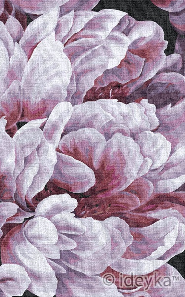 Картина за номерами Магія півоній 1 25х40 см Ідейка 