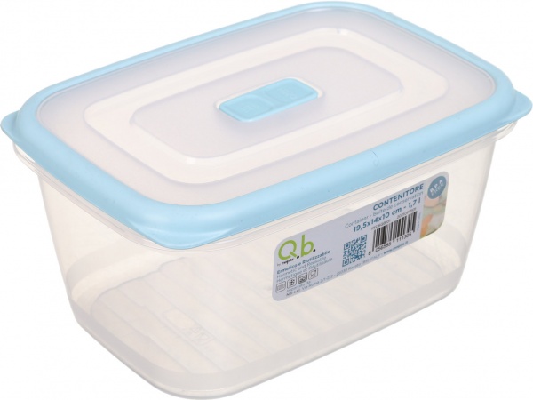 Контейнер 19,5х14х10 см в ассортименте IRS16QB101 Eurogold