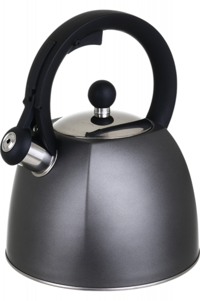 Чайник Flamberg зі свистком Graphite сірий 3 л