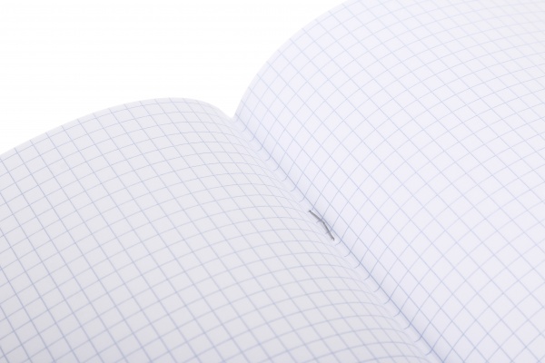 Зошит 12 аркушів клітинка 2023_1 Nota Bene