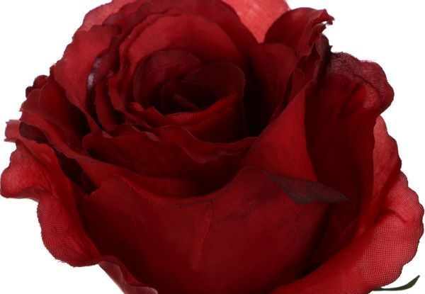 Растение искусственное роза Милан красная 27435HN