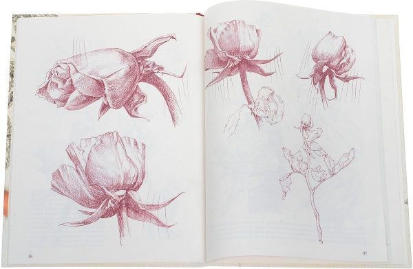 Книга Джованні Чіварді «Рисуем цветы, фрукты, овощи» 978-617-12-3887-9