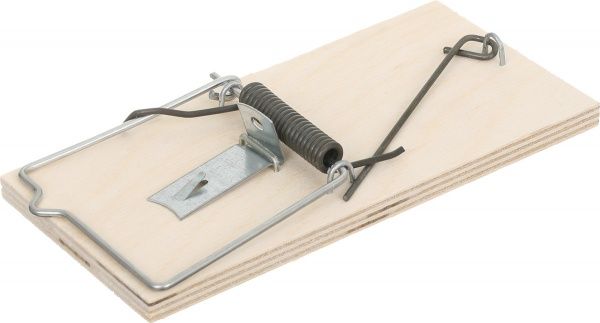 Крысоловка с фанеры, 164 x 75 мм