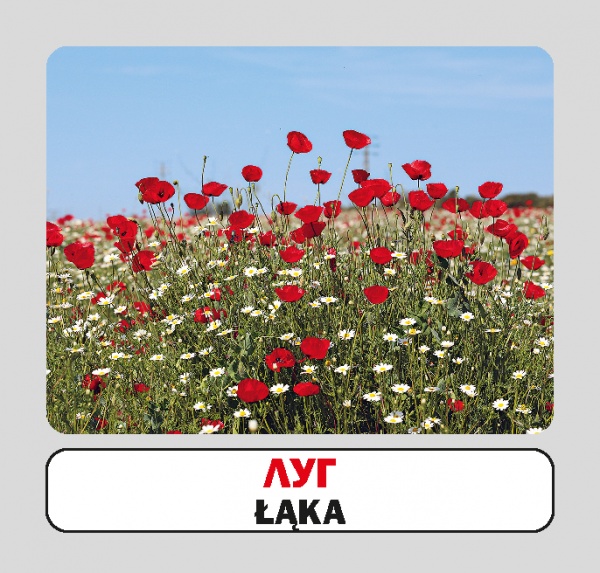 Книга «Пори року / Sezony. Набір карток» 9786177686070