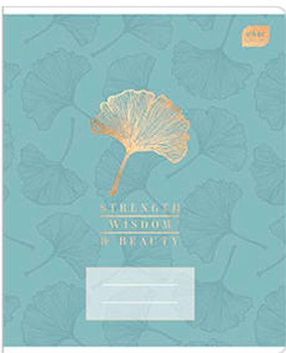 Тетрадь школьная 24 листа в линию Mix в ассортименте InterDRUK