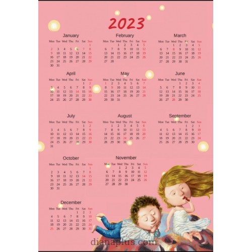 Календарь Діана Плюс Svitovyd Maxi Гапчинська. Space love 2022