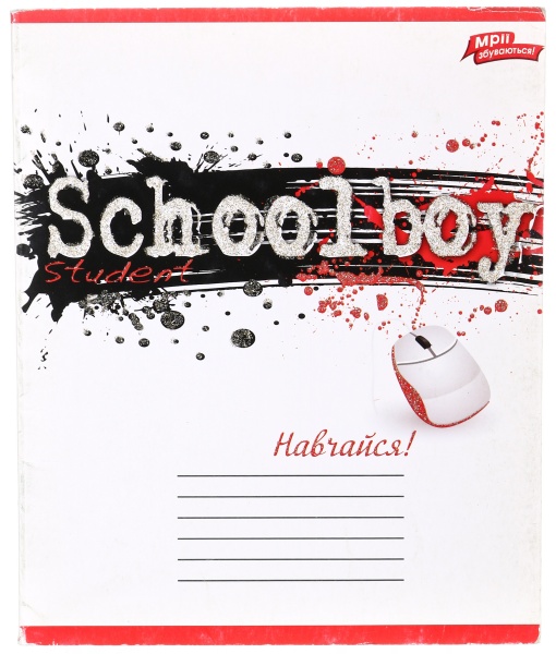 Тетрадь школьная с глитером 48 листов в клеточку в ассортименте Мечты сбываются