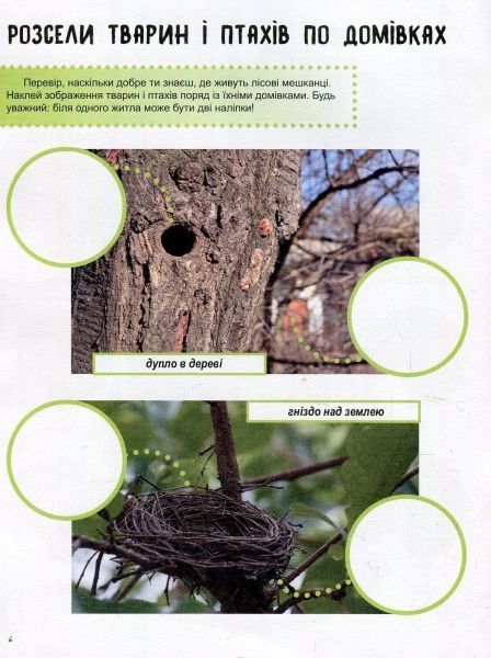 Книга Полулях Н. «Зошит до енциклопедії. Світ і його таємниці: Життя лісу» 978-617-09-4442-9