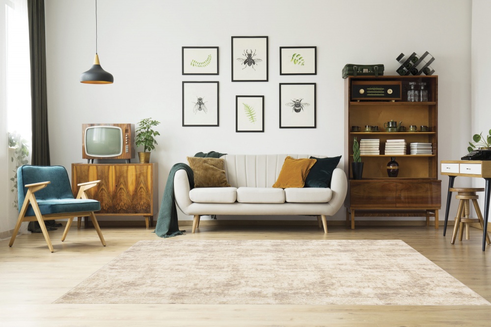 Килим Oriental Weavers AGUERO (56002/D1J-U) 160x235 см