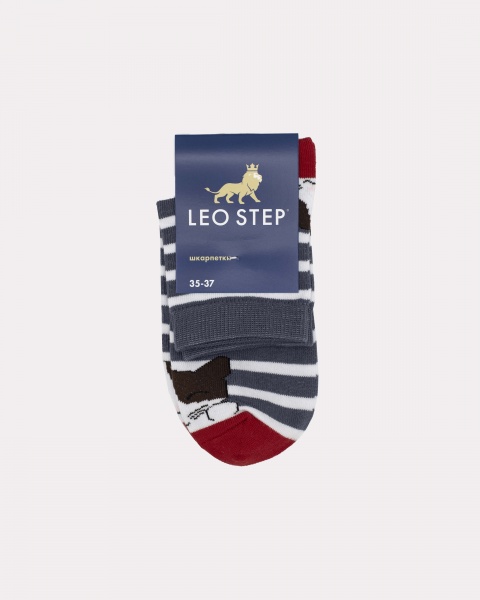Шкарпетки унісекс Leostep 40023 109 23 р. 23 із принтом 