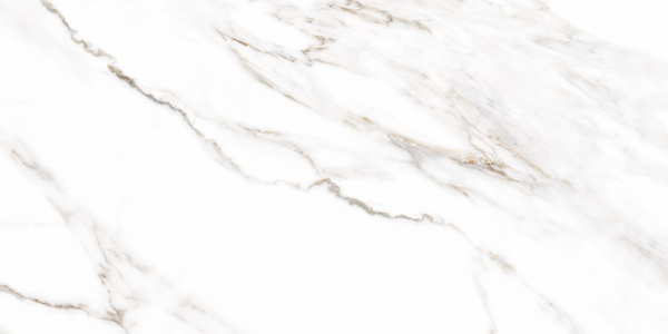 Плитка Allore Group Mira White F P R Satin 60x120 см 