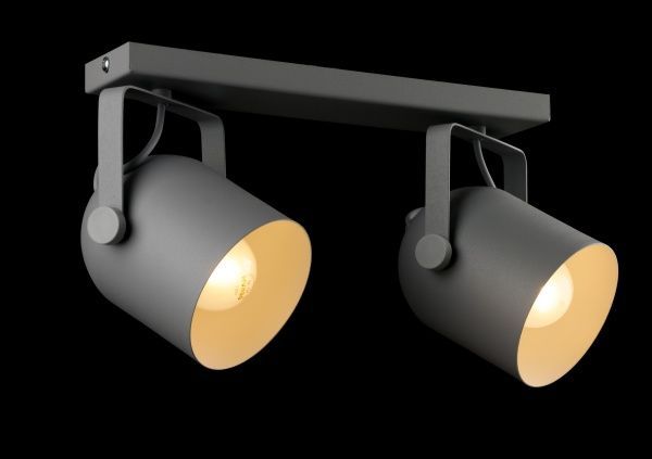 Спот TK Lighting 2616 Spectra 2x60 Вт E27 сірий із білим 
