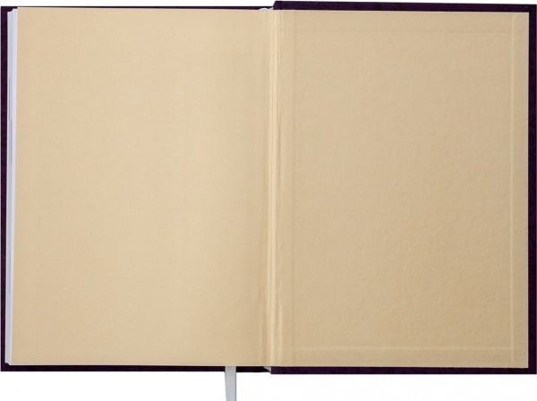 Щоденник недатований Perla А5 Фіолетовий 288 стр. Buromax 