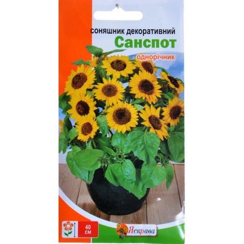 Семена Яскрава подсолнух декоративный Санспот 2 г