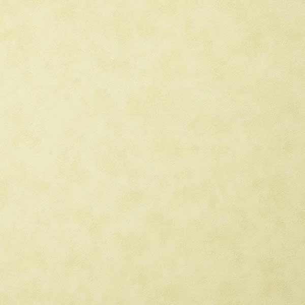 Едем Статус 9031-18 1.06x10.05 м