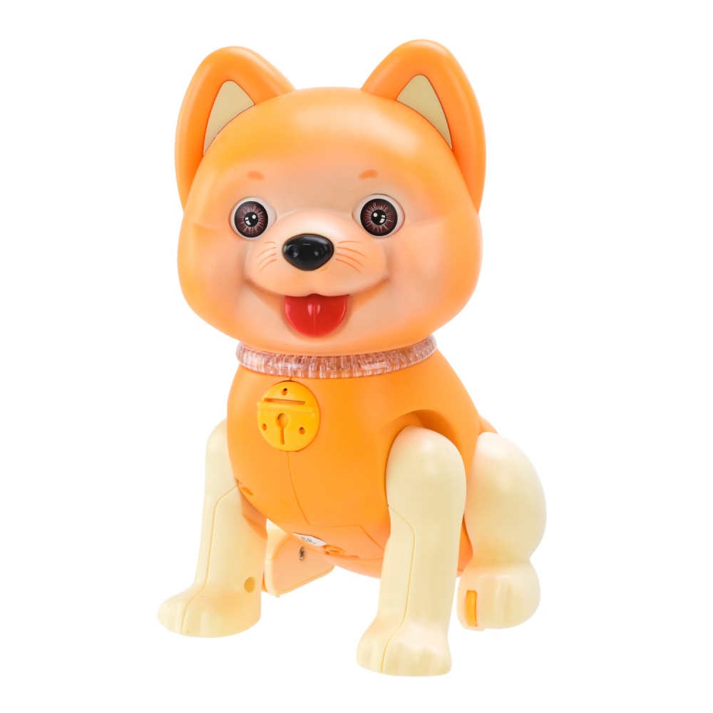 Іграшка інтерактивна Shantou PL-724-13