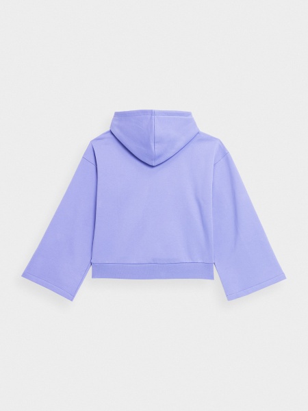 Джемпер 4F SWEATSHIRT F592 4FSS23TSWSF592-52S р. M фиолетовый