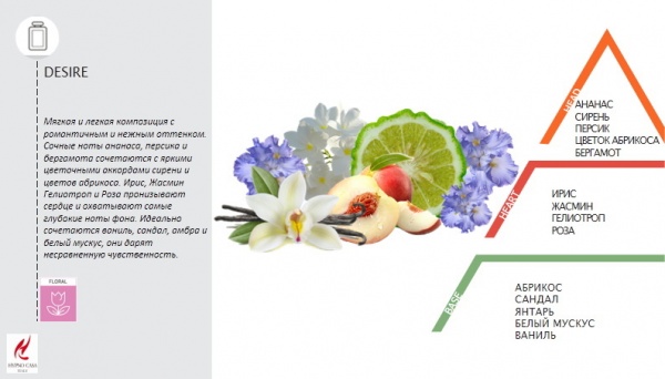 Парфуми Hypno Casa DESIRE 10 мл 2 шт.