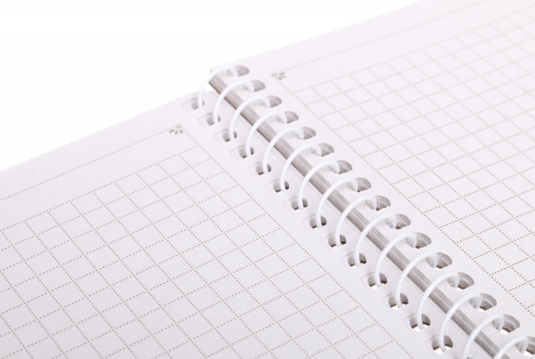 Тетрадь школьная Спираль A5 60 листов в клеточку