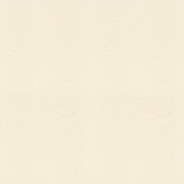 Шпалери Vinil Джунглі стена СШТ 4-1099 