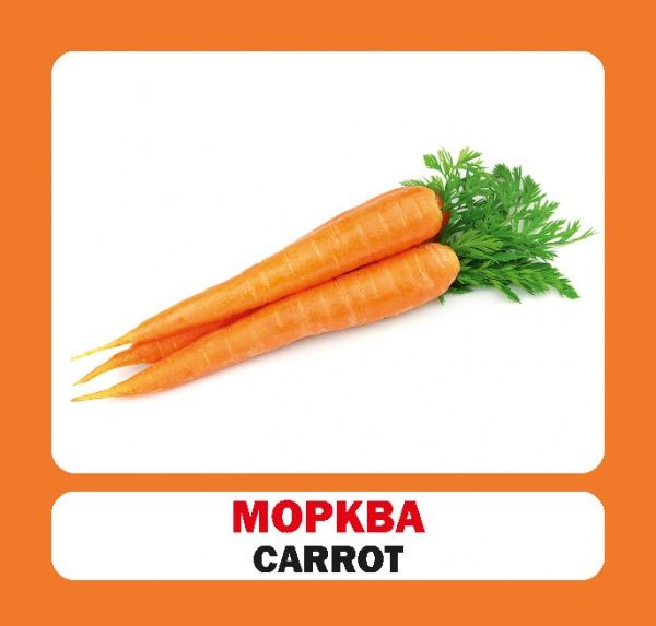 Книга «Навчальний посібник. Овочі. англ-укр»