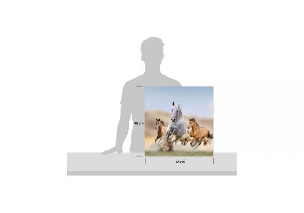 Репродукция Жизнь животных 48x48 см 